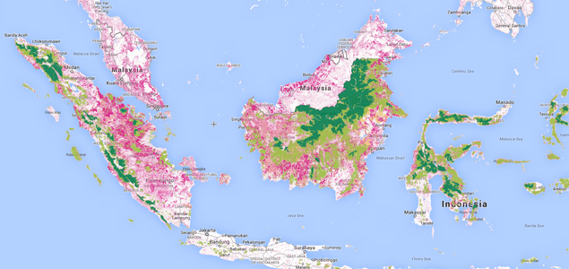 Trending: GAR, Astra International Fulfilling Palm Oil Supply Chain Promises