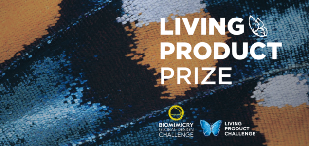 Biomimicry Design Challenge Expands to Include $10K Living Product Prize