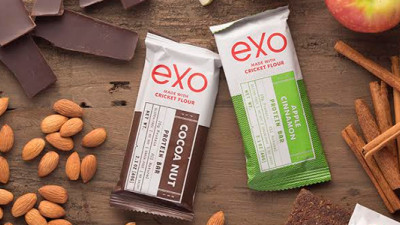 Insect Protein Company Exo Raises $4M in Series A Round