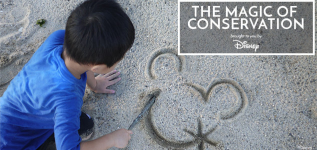 Disney, Recyclebank Extol the 'Magic of Conservation' to Encourage Kids to Recycle, Respect Environment