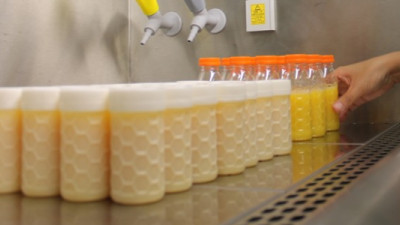 Bioplastic Advancements Show Promise for Biodegradable Milk, Juice, Food Packaging