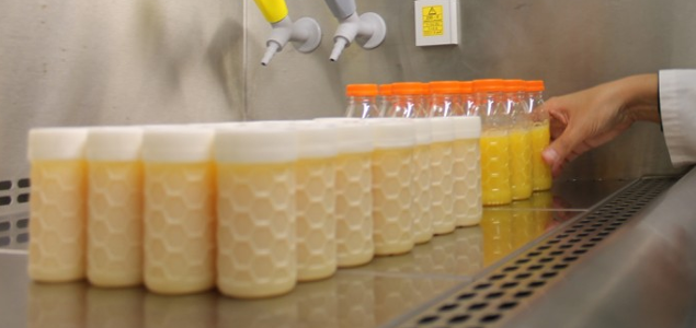 Bioplastic Advancements Show Promise for Biodegradable Milk, Juice, Food Packaging