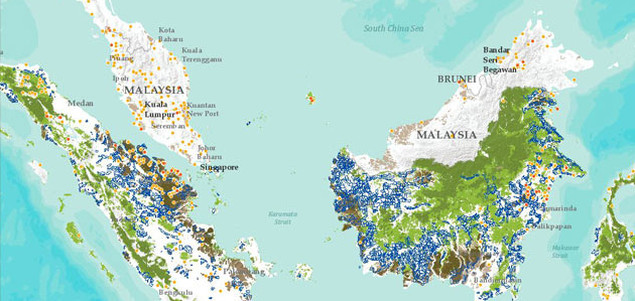 How Increasing Transparency Can Help Prevent Further Devastation in Indonesia