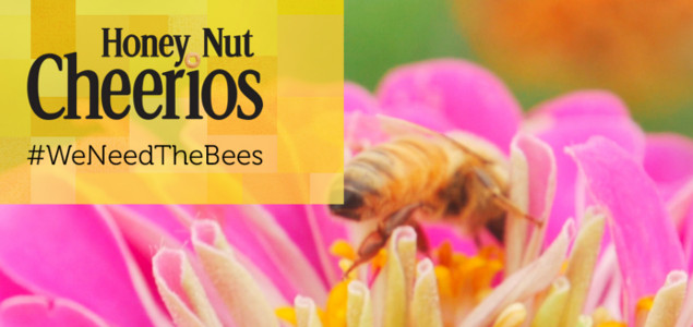 General Mills, NGOs Speak for the Bees: Pollinators Need Help From Companies