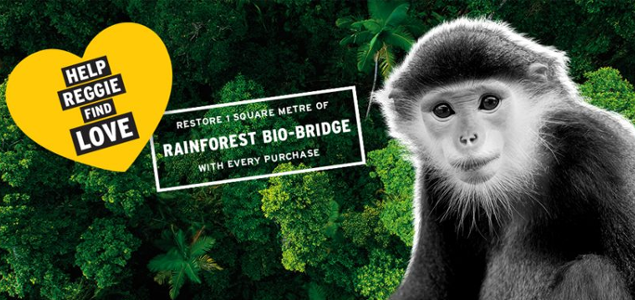 The Body Shop to Regenerate Over 18K Acres of Forest, Help Monkeys Find Love