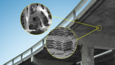 MIT Researchers Look to Bones, Sea Sponges as Blueprints for Stronger Concrete