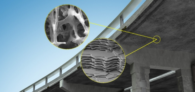 MIT Researchers Look to Bones, Sea Sponges as Blueprints for Stronger Concrete