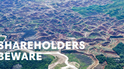 RAN Finds Japanese Companies Misreporting Sustainability, Linked to Deforestation