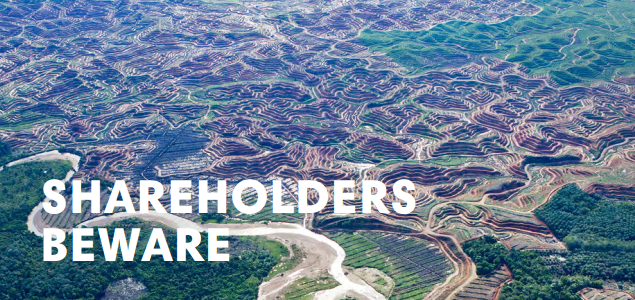 RAN Finds Japanese Companies Misreporting Sustainability, Linked to Deforestation