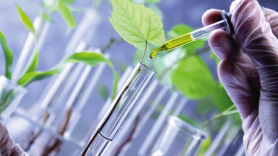 How Microbes, Bio-Based Materials Can Help Industry Embrace Sustainability