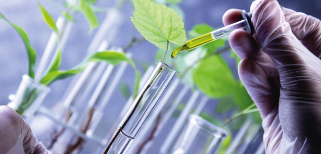 How Microbes, Bio-Based Materials Can Help Industry Embrace Sustainability