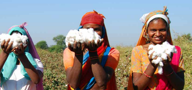 Of Top Cotton Users, Over 75% ‘Appear to Do Virtually Nothing’ on Cotton Sustainability