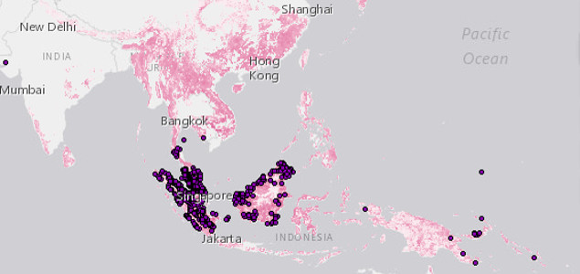 New Palm Oil Risk Tool Allows Companies to Better Identify Deforestation Risk