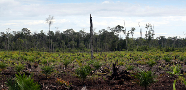 Building a Resilient Landscape Through Global Collaboration