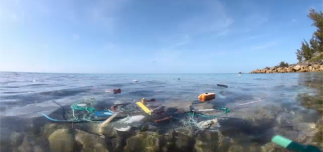 New Film Drives Home Impacts of Single-Use Plastics on Oceans, Wildlife, Humans