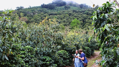 SAN, Rainforest Alliance Update Certification with Focus on Climate-Smart Ag, Curbing Deforestation