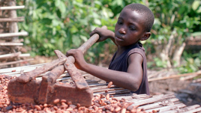 Cargill Partnering to Tackle Child, Forced Labour in Cocoa Supply Chain