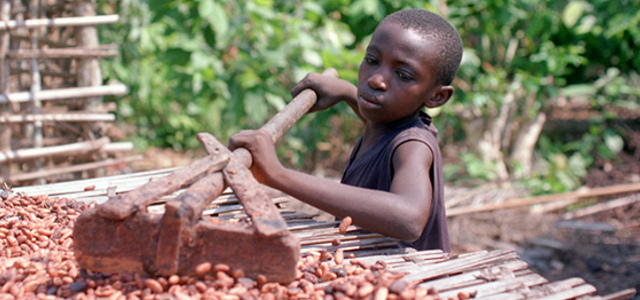 Cargill Partnering to Tackle Child, Forced Labour in Cocoa Supply Chain