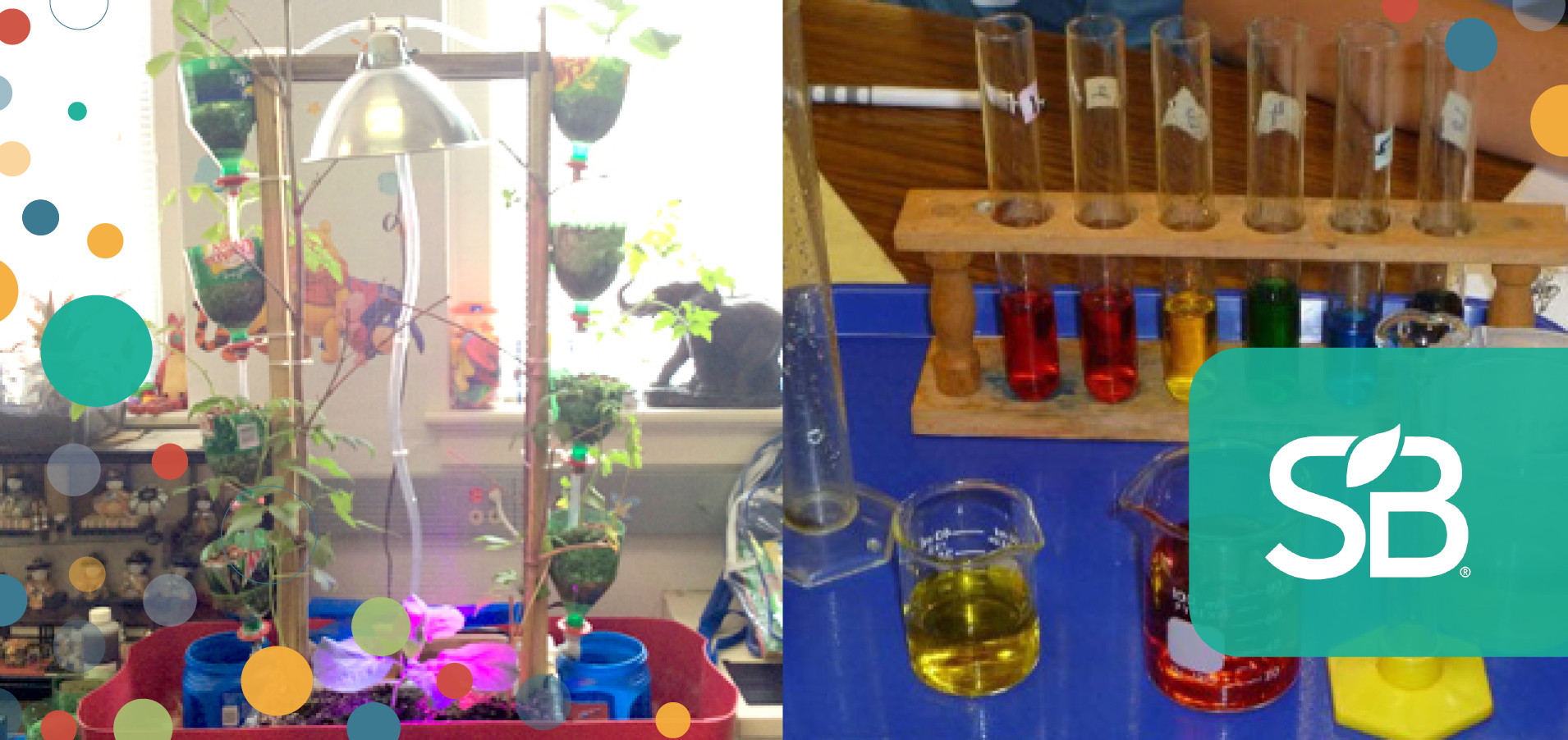 These Students’ Environmental Science Projects Are Greening Their ...