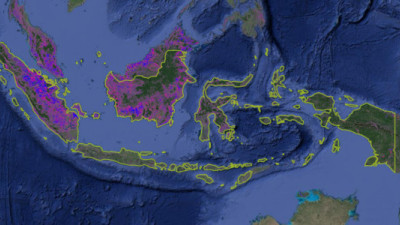 The Business Case for One Map in Indonesia