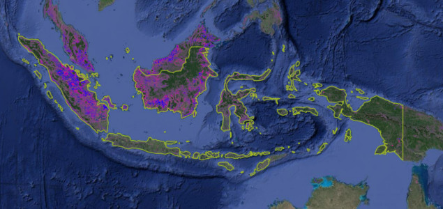 The Business Case for One Map in Indonesia