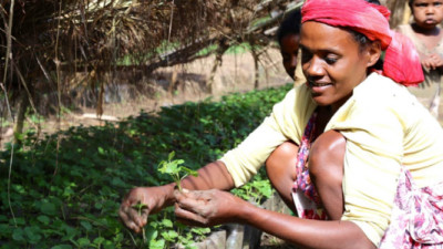 Nespresso Announces Progress, New Investments in Support of Coffee Farmers in Africa