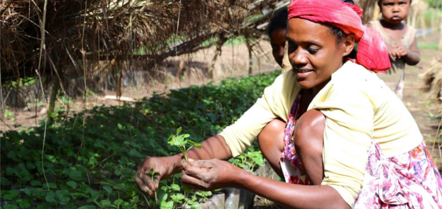 Nespresso Announces Progress, New Investments in Support of Coffee Farmers in Africa