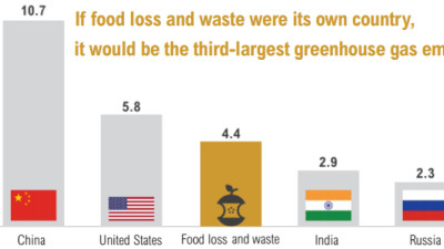 Champions 12.3 ‘Progress’ Report Details Why We Must Target, Measure, Act on Food Waste