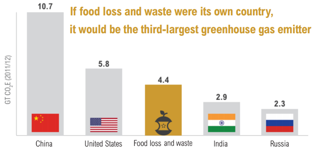 Champions 12.3 ‘Progress’ Report Details Why We Must Target, Measure, Act on Food Waste