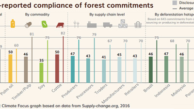 Report: Forest Protection Pledges Have Surged, But Progress Has Been Mixed