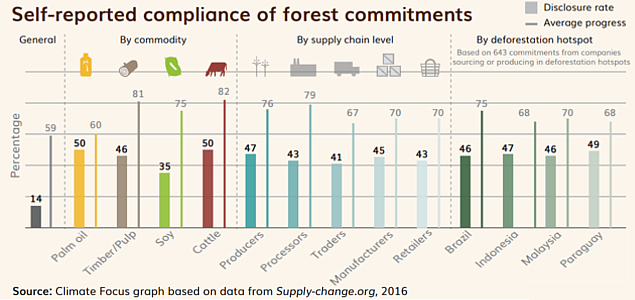 Report: Forest Protection Pledges Have Surged, But Progress Has Been Mixed