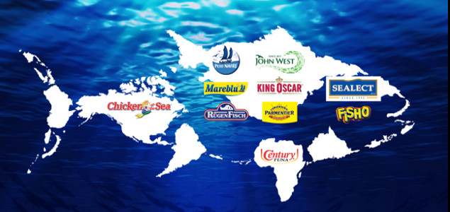 Thai Union Commits to 100% Sustainable Tuna, But Can It Get There?