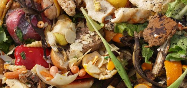 Rockefeller Foundation, USDA, EPA to Create Center for Action Against Food Waste