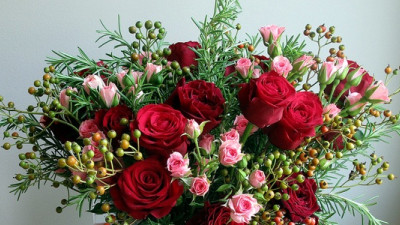 Valentines Can Now Show Their Love Sustainably with Locally Grown ‘Slow Flowers’