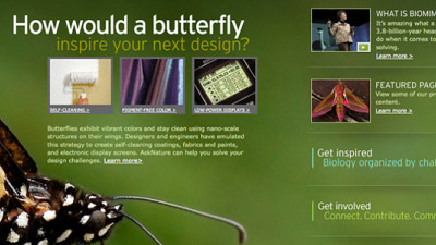 MCAD Offering Free Online Biomimicry Design Course