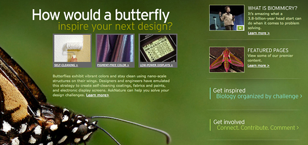 MCAD Offering Free Online Biomimicry Design Course