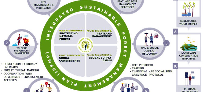 Independent Evaluation - A Crucial Part of Our Zero-Deforestation Journey