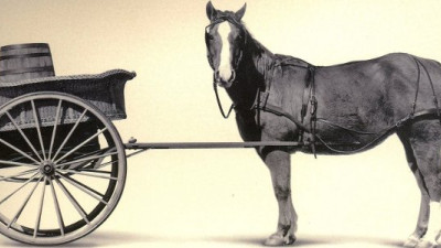 Putting the Cart Before the Horse? Five Anecdotes About Sustainable Business Metrics