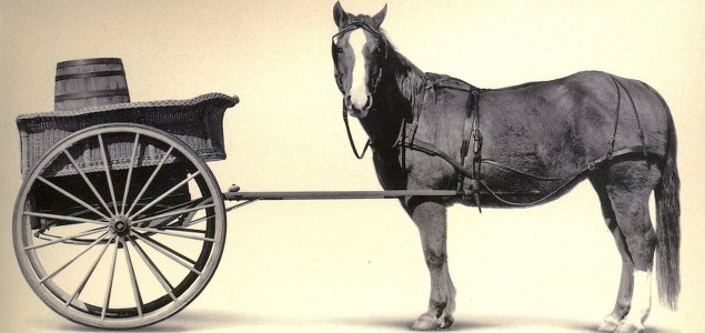 Putting the Cart Before the Horse? Five Anecdotes About Sustainable Business Metrics