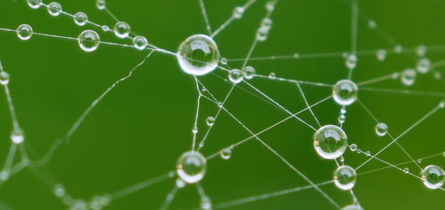 New Biomimicry Center, Graduate Degree Programs Put ASU at Forefront of Emerging Discipline