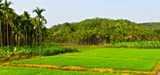 Past, Present and Future: The Road to a Sustainable Agricultural Sector