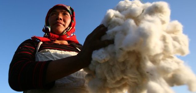 adidas Group Exceeds 2014 Better Cotton Target