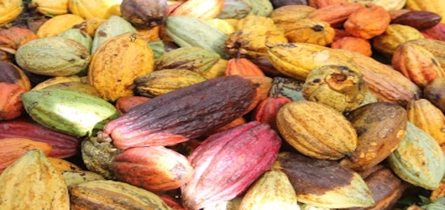 Mars and Fairtrade Extend Sustainable Cocoa Partnership for UK and Ireland