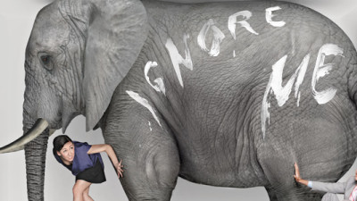 Sustainability Context: The Elephant Is the Room