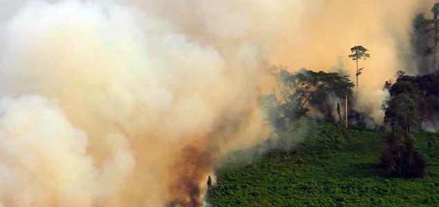 Bad Palm Oil Production Practices Linked to Devastating Air Pollution, Haze, UCS Says