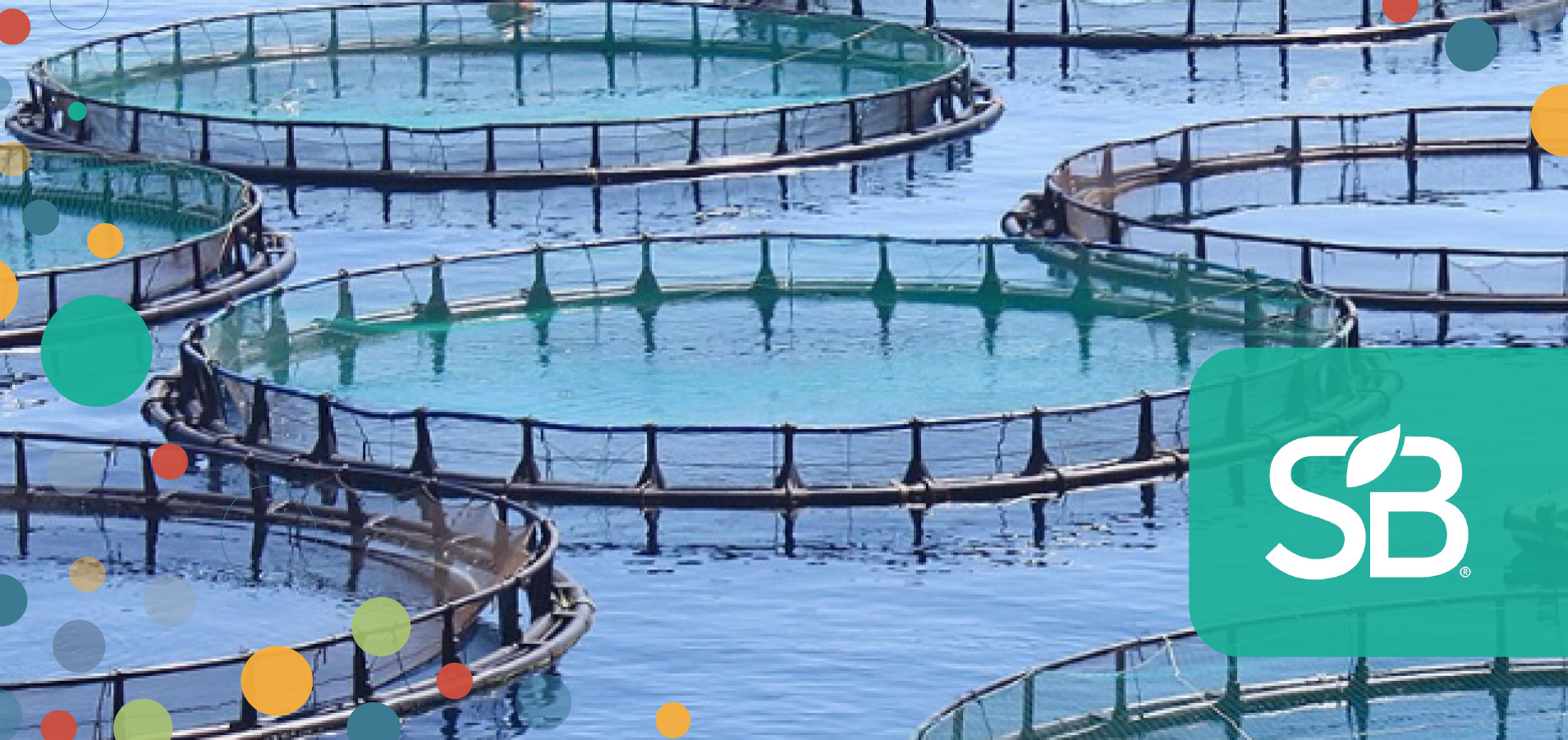 Sustainable Aquaculture Innovations Transform Global Fisheries And ...