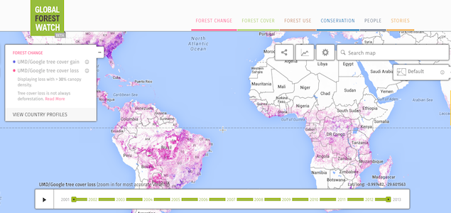 Here’s How Satellites Are Saving the World’s Forests