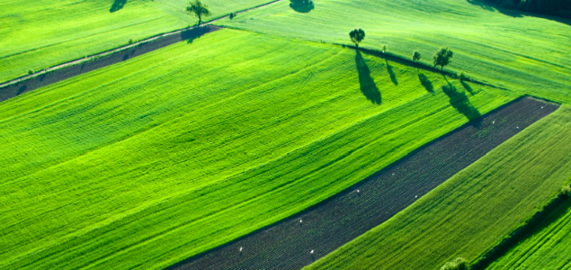 An Unlikely Pair: Farmers and Big Data Team Up to Address Food Security