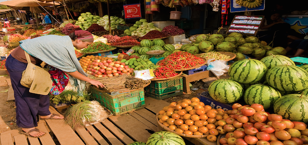 European Commission Launches Scientific Debate On How to Feed the Planet