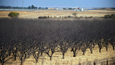 Food Companies Have Opportunity to Show More Responsibility During California’s Drought Crisis